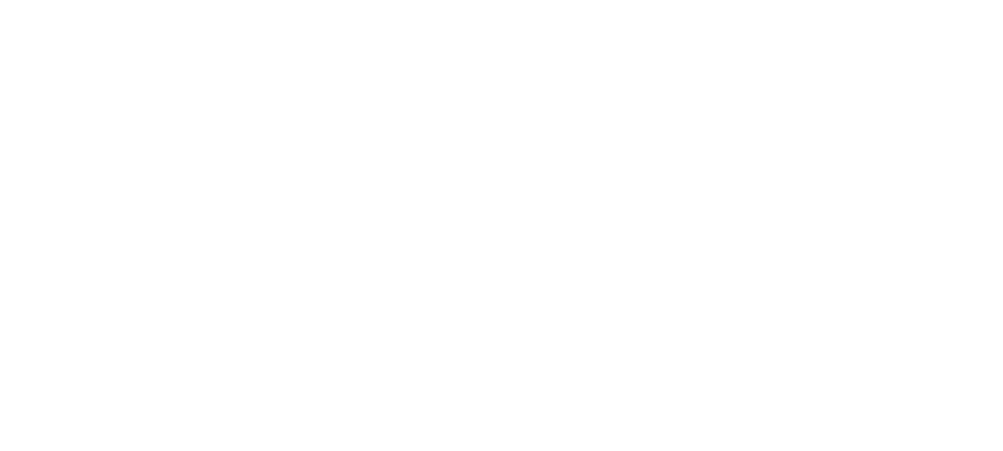 the Design Agency